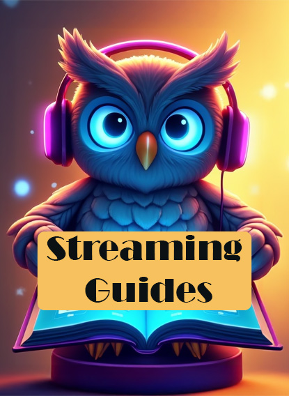 Streaming Guides Category